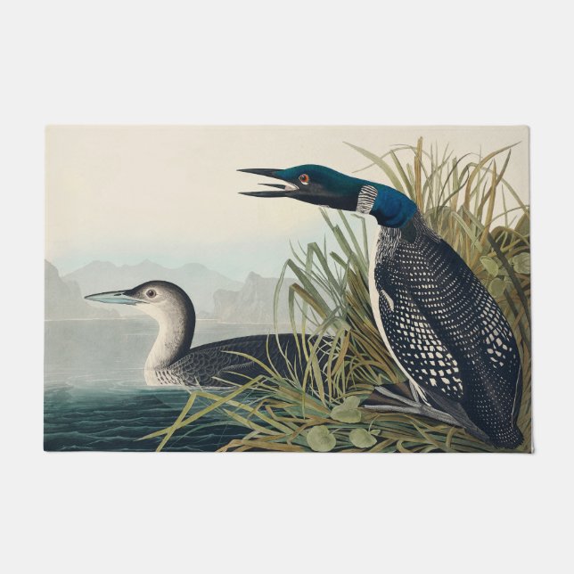 Tapete Audubon Bird Loon Diver Classic (Frente)