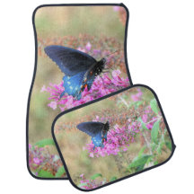 Pipevine Swallowtail na Butterfly Bush
