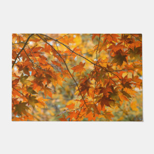 Tapete Autumn Deixa Laranja Fall Foliage