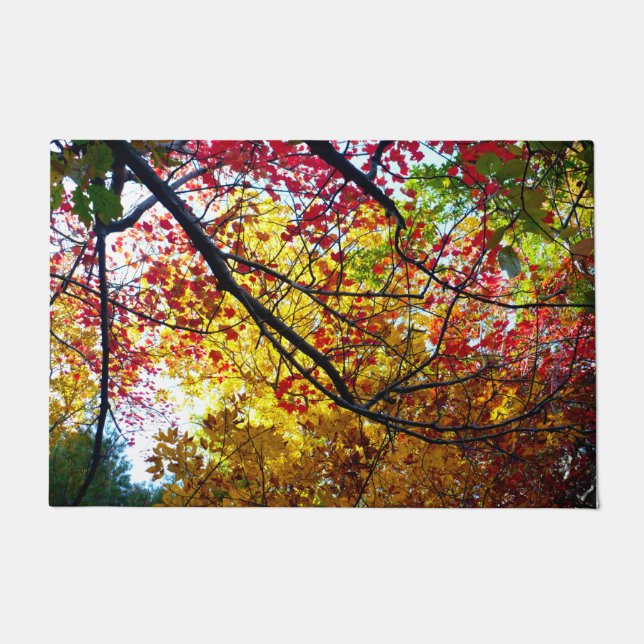 Tapete Autumn Leaves em Walden Pond (Frente)