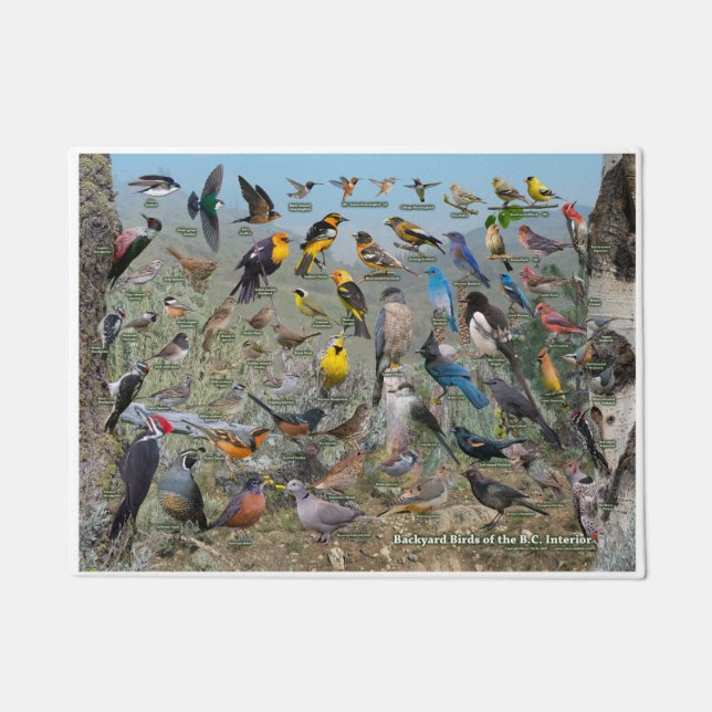 Tapete Aves do Interior do BC (Frente)