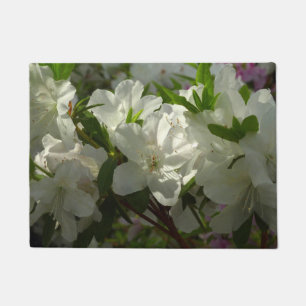 Tapete Azaleas brancas e solares lindas flores de primave
