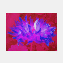 Azul violeta assombroso e Cactus rosa-quente Dahli