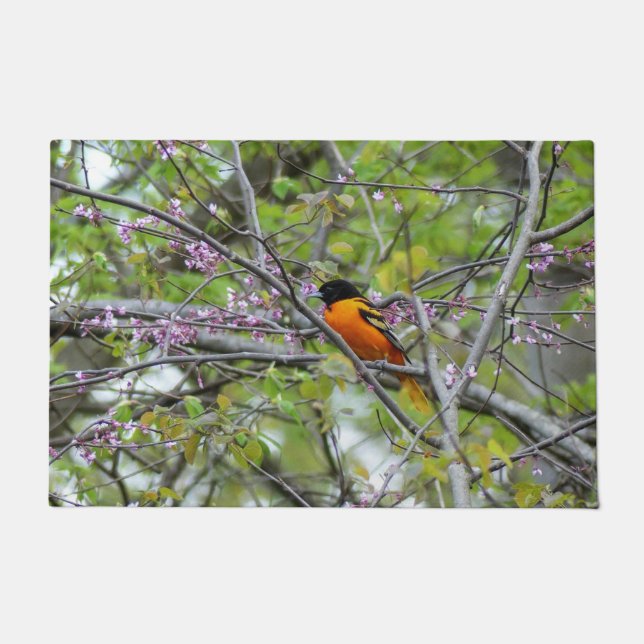 Tapete Baltimore Oriole (Frente)