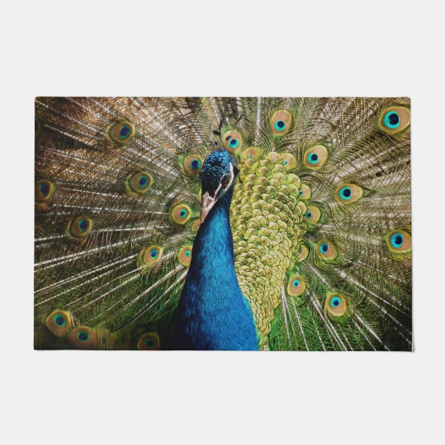 Tapete Bashful Peacock (Frente)