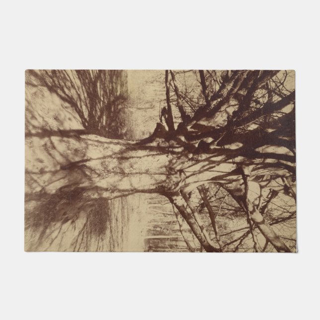 Tapete Beech Tree (por Eugène Atget) (Frente)