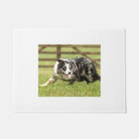 Beira azul Collie~Joe~Doormat de Merle