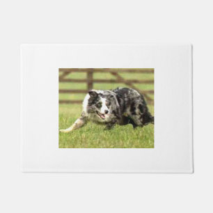 Tapete Beira azul Collie~Joe~Doormat de Merle