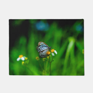 Tapete Bela Borboleta na flor