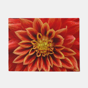 Tapete Bela dahlia laranja