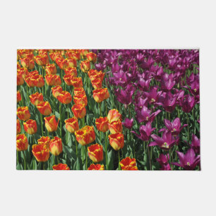 Tapete Beleza das tulipas laranja e roxa