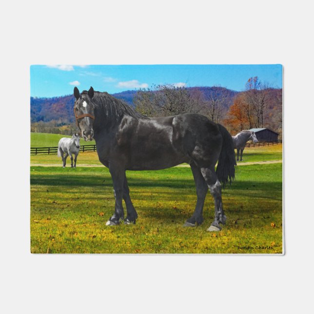 Tapete "Big Sam" Pormat (Frente)