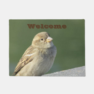 Tapete Bird Small Brown House Foto de Boas-vindas