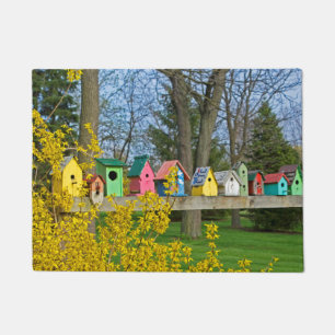Tapete Birdhouse Boulevard