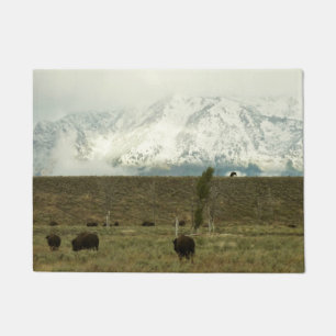 Tapete Bison no Grand Teton National Park Fotografia