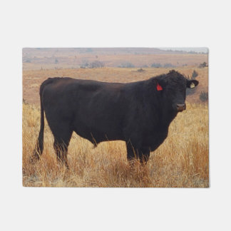 Tapete Black Angus Steer Grazing com seu Herd