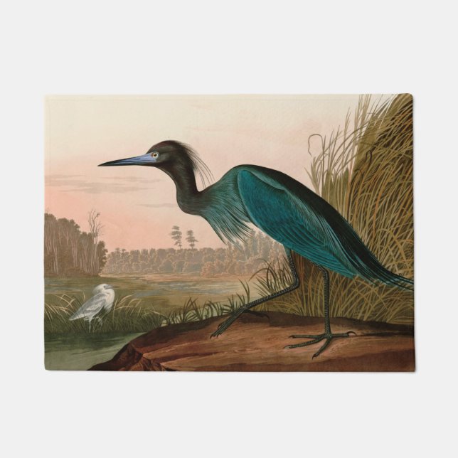 Tapete Blue Crane ou Heron Birds of America Audubon Impre (Frente)