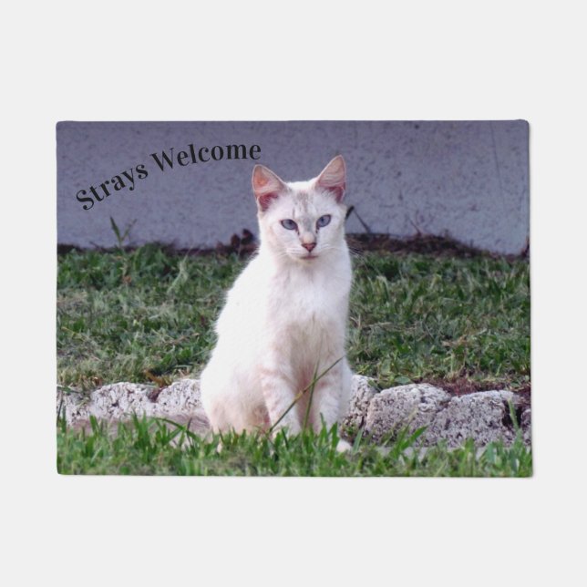 Tapete Boas-vindas a Stray Cat Doormat (Frente)