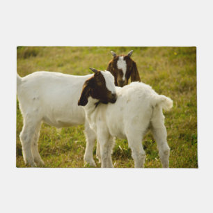 Tapete Boat Goats Cute Field