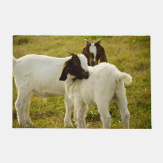 Tapete Boat Goats Cute Field