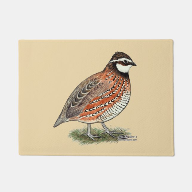 Tapete Bobwhite Quail Rooster (Frente)