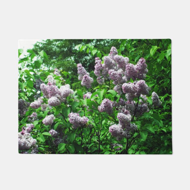 Tapete Bonito Lilac Bush (Frente)