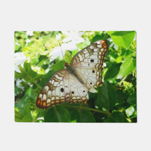 Tapete Borboleta em Jasmine Fotografia sobre Natureza Tro