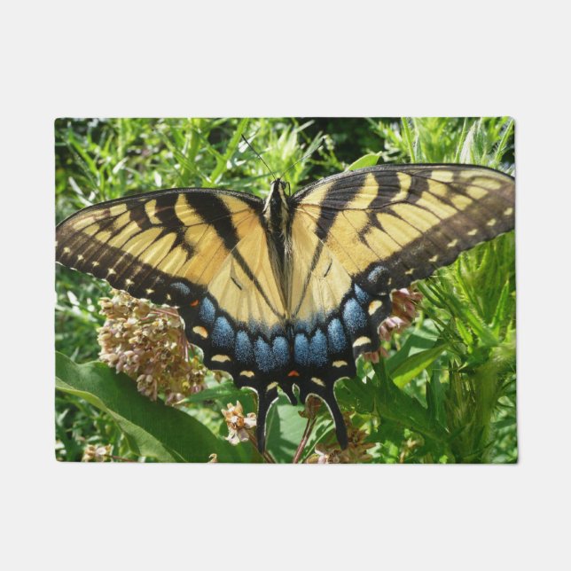 Tapete Borboleta II de Swallowtail em Shenandoah (Frente)