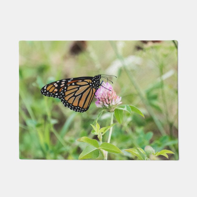 Tapete Borboleta Monarca (Frente)