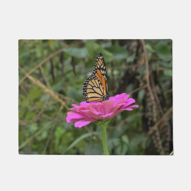 Tapete Borboleta Monarca numa Flor Zinina Rosa Bonito (Frente)