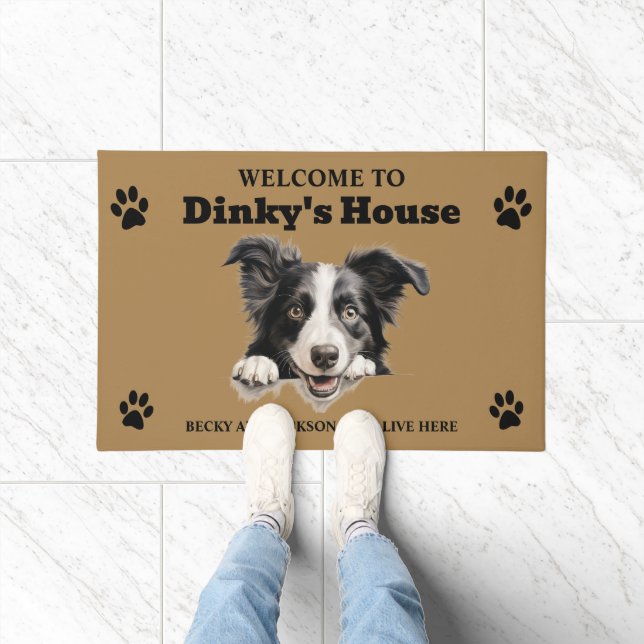 Tapete Borda Collie Dog (Interior)