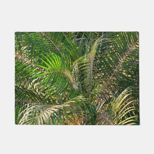 Tapete Bordas Tropicais de Palm Lit Sunset (Frente)