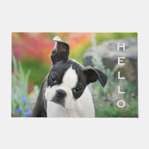 Tapete Boston Terrier Dog Cute Puppy Animal Head - Olá
