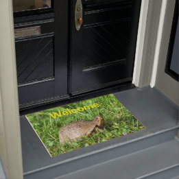 Tapete Box Turtle Doormat