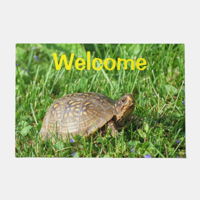 Tapete Box Turtle Doormat (Frente)