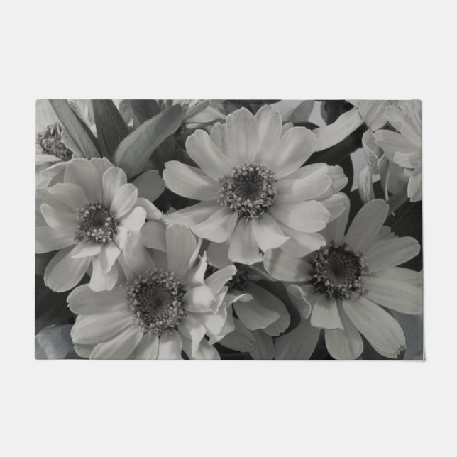 Tapete Brown Eyed Susan Flowers (Frente)