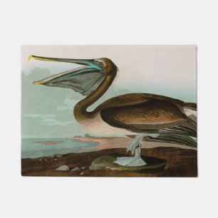 Tapete Brown Pelican Birds of America Audubon Impressão