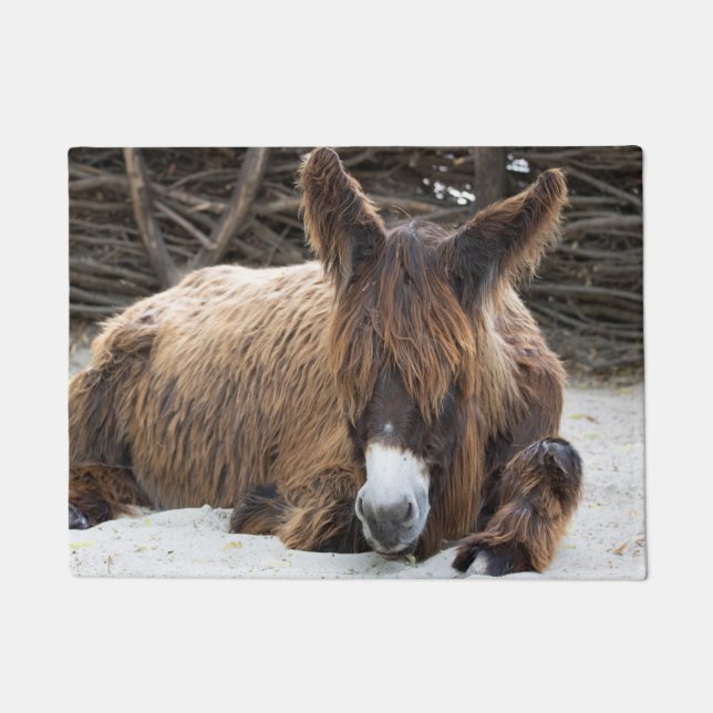 Tapete Brown Poitou Donkey (Frente)