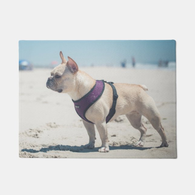 Tapete Buldogue francês na praia (Frente)