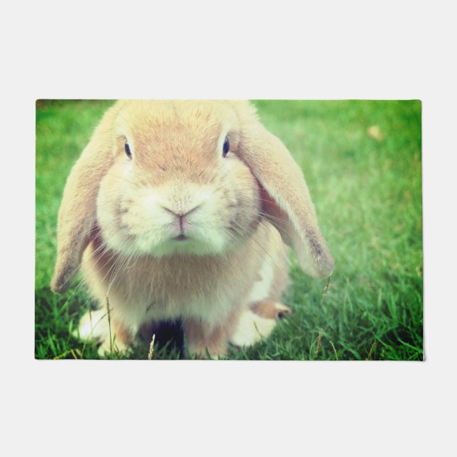 Tapete Bunny (Frente)