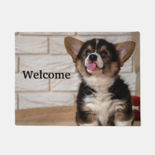 Tapete Cachorro Cachorro Cachorro Pembroke Welsh Corgi