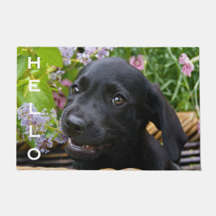 Tapete Cachorro Negra Bonito Labrador Cachorro Pupado Al