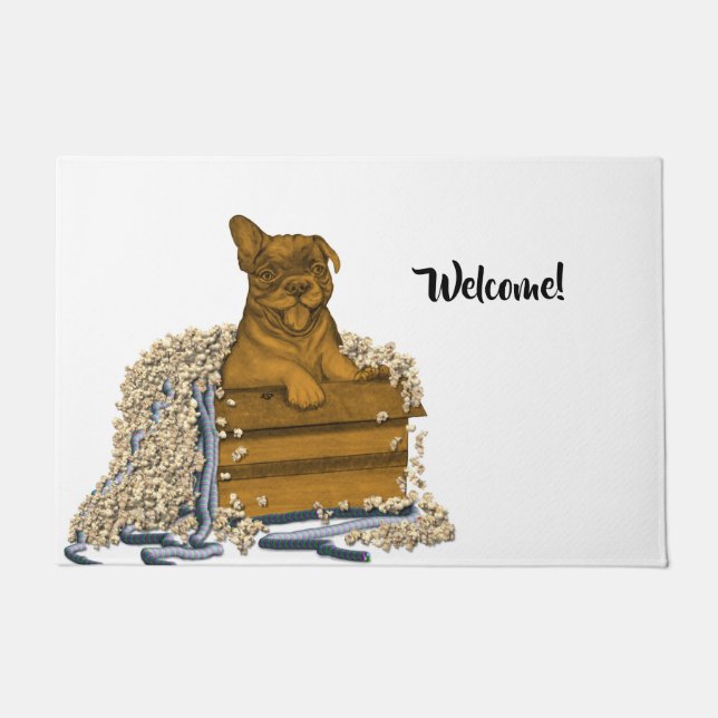 Tapete Cachorro numa caixa (Frente)