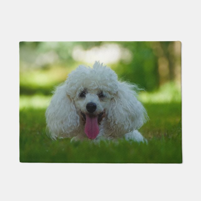 Tapete Cachorro Poodle. (Frente)