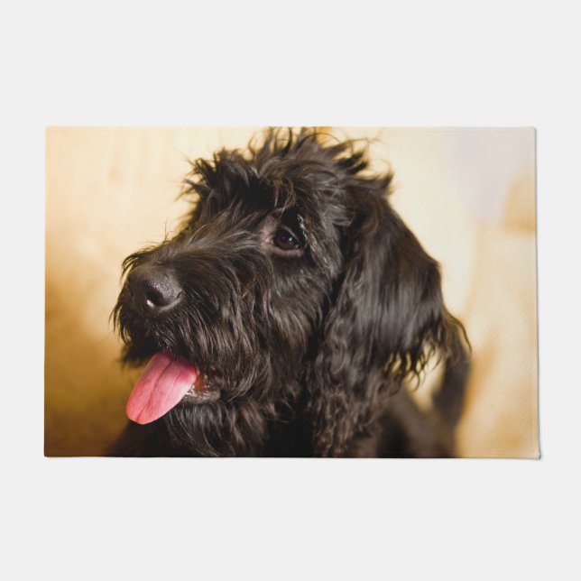 Tapete Cachorro Schnauzer. (Frente)