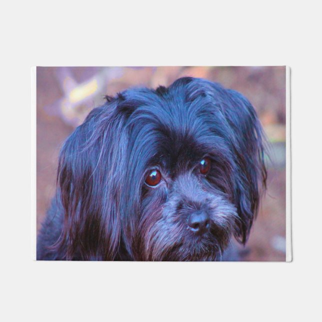 Tapete Cachorro Shih Tzu. (Frente)