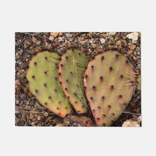 Tapete Cactus Portrait (Frente)