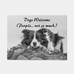 Tapete Cães Bem-vindos Citação Divertida Border Collie