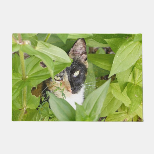 Tapete Calico Cat nos Zinnias (Frente)