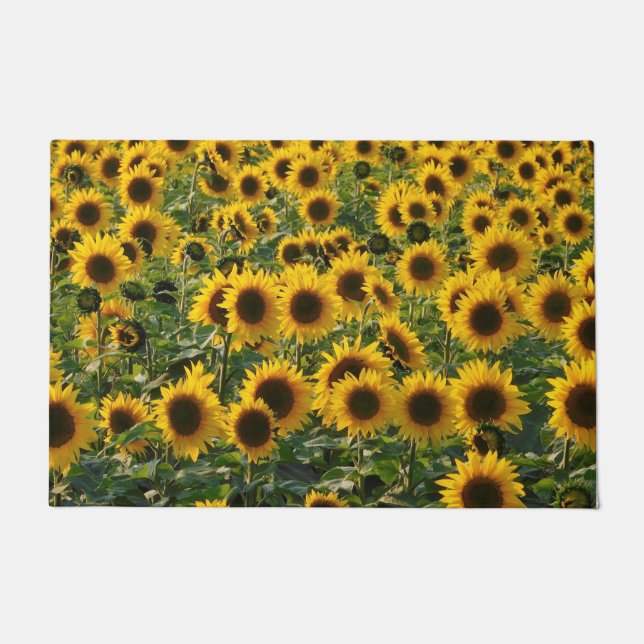 Tapete Campo do girassol (Frente)